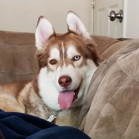 Meet your Posher, Kristen - Picture 1 of 1